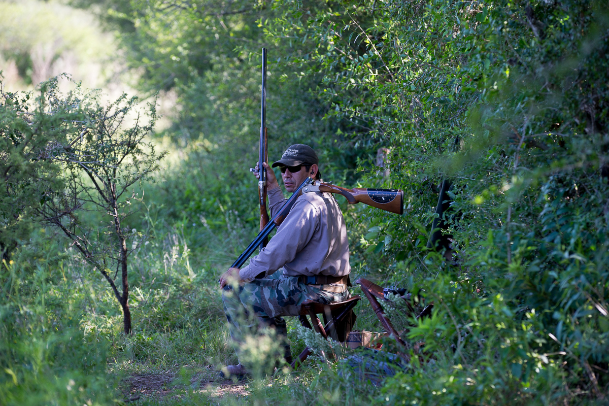 Trusty field assistant with a great sense of humour...
