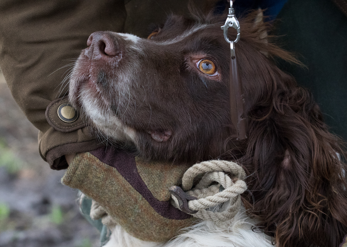 Fieldsports-4
