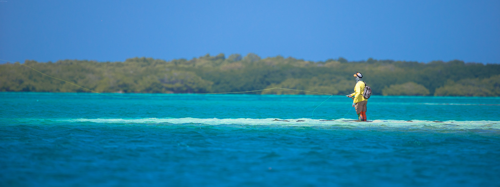 Los Roques, Venezuela with Sight Cast